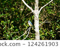 Stop at the tree branches 124261903