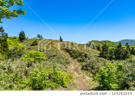 Takashimizu Trail in early summer: The road to the summit of Mt. Hakushu, Kagamino-cho, Tomata-gun, Okayama Prefecture 124262819