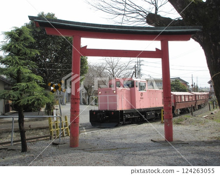 A Seino Railway freight train running through the grounds of Ishibiki Shrine A Seino Railway freight train running through the grounds of Ishibiki Shrine 124263055