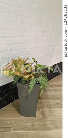 A modern gray pot holds various green indoor plants, including ferns and patterned leaves, displayed against a stylish white brick wall with black trim A modern gray pot holds various green indoor plants, including ferns and patterned leaves, displayed against a stylish white brick wall with black trim 124263132