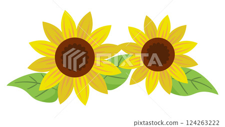 sunflower	 124263222