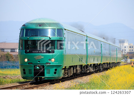 Limited Express "Yufuin no Mori" on Kyudai Main Line in Spring (JR Kyushu) Limited Express "Yufuin no Mori" on Kyudai Main Line in Spring (JR Kyushu) 124263307
