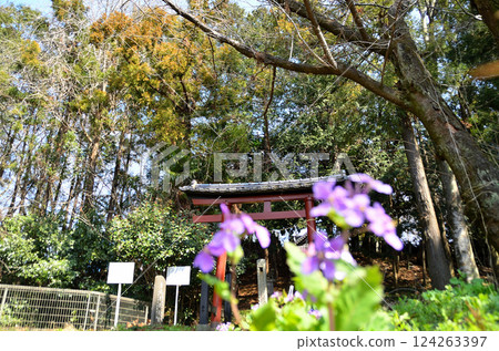 冰河神社(位於埼玉縣鴻巢市瀧葉室) 冰河神社(位於埼玉縣鴻巢市瀧葉室) 124263397