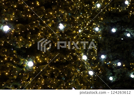 Close-Up of Green Holiday Decoration for Text Overlay and Background Use 124263612