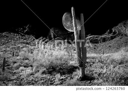Sonora Desert Arizona Picacho Peak State Park Moon Rise Sonora Desert Arizona Picacho Peak State Park Moon Rise 124263760