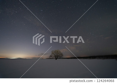 Hokkaido Toyokoro Japanese elm tree Milky Way Night Night sky Stars Pillbox Ruins War 124264068