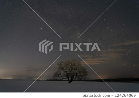 北海道 豐公頃 榆樹 銀河 夜晚 夜空 星星 碉堡 遺跡 戰爭 北海道 豐公頃 榆樹 銀河 夜晚 夜空 星星 碉堡 遺跡 戰爭 124264069