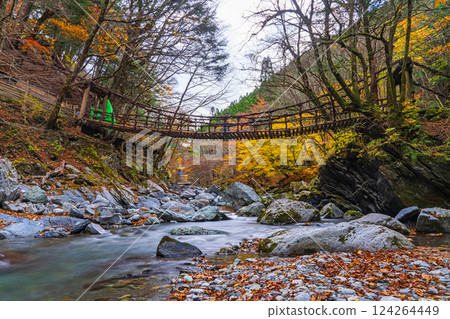 [Tokushima] Autumn in Oku-Iya, Double Kazura Bridge, Onnabashi [Autumn leaves] 124264449