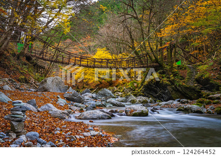 [Tokushima] Autumn in Oku-Iya, Double Kazura Bridge, Onnabashi [Autumn leaves] 124264452