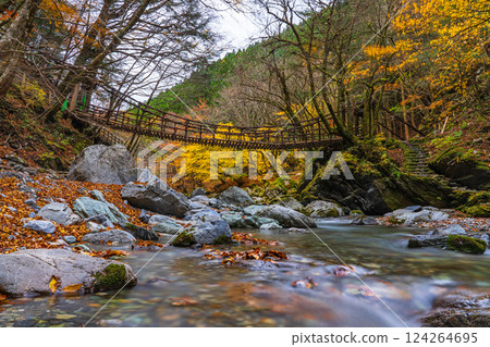 [Tokushima] Autumn in Oku-Iya, Double Kazura Bridge, Onnabashi [Autumn leaves] 124264695