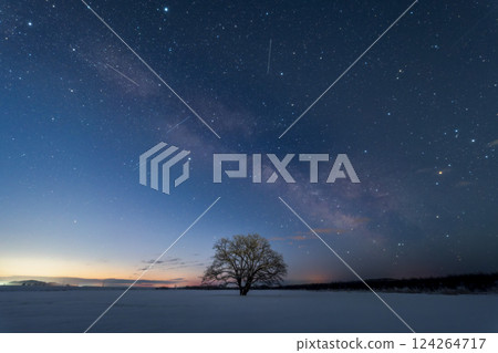 Hokkaido Toyokoro Japanese elm tree Milky Way Night Night sky Stars Pillbox Ruins War Hokkaido Toyokoro Japanese elm tree Milky Way Night Night sky Stars Pillbox Ruins War 124264717
