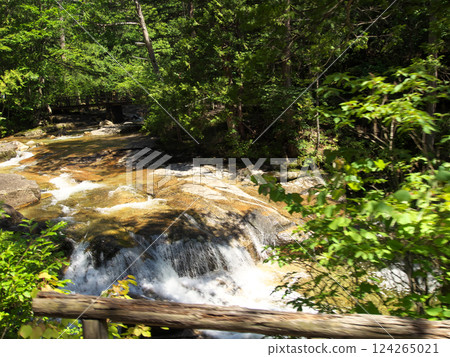Mountain stream shining in the fresh green 124265021