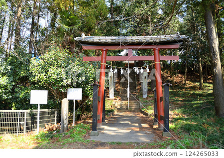 Hikawa Shrine in Takibamuro, Konosu City, Saitama Prefecture 124265033