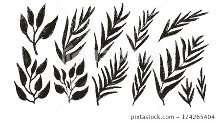 Plant silhouette charcoal set. Leaves crayon pack. Vector hand drawn foliage simple collection illustration isolated on white background. Linocut nature freehand rough grunge organic shapes Plant silhouette charcoal set. Leaves crayon pack. Vector hand drawn foliage simple collection illustration isolated on white background. Linocut nature freehand rough grunge organic shapes 124265404