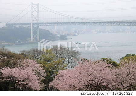 春天Kanmon橋 124265828