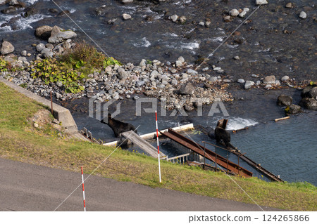 Hokkaido, Ezo brown bear, bear, brown bear, wild animal 124265866