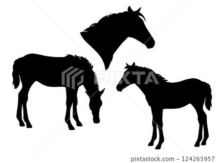 baby foal horse black and white vector silhouette set 124265957