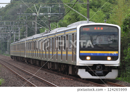 Narita Line 209 series 2000 series Narita Line 209 series 2000 series 124265999