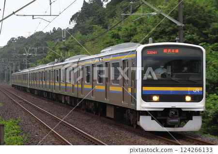 Sobuyu系列209系列2000系列 124266133