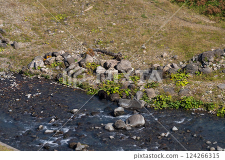Hokkaido, Ezo brown bear, bear, brown bear, wild animal 124266315