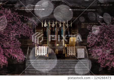 雪夜,櫻花神社的河津櫻花 雪夜,櫻花神社的河津櫻花 124266473