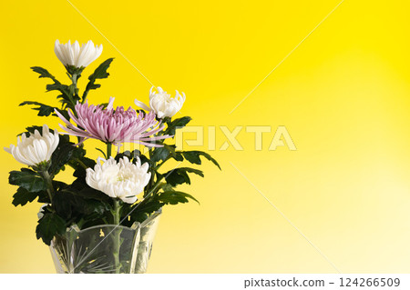 水晶花瓶中的菊花 - 黃色版 水晶花瓶中的菊花 - 黃色版 124266509
