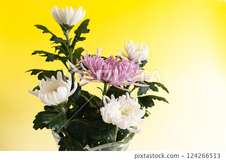 水晶花瓶中的菊花 - 黃色版 水晶花瓶中的菊花 - 黃色版 124266513
