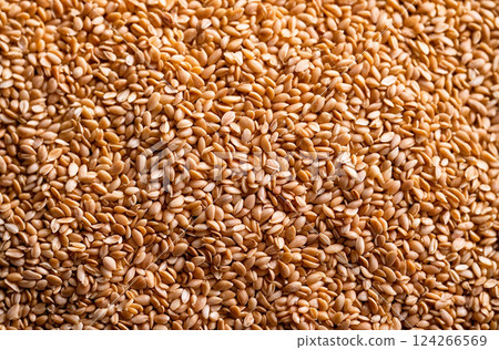 Organic wheat grains, background texture 124266569