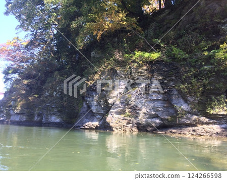 Nagatoro Valley line down Nagatoro Valley line down 124266598