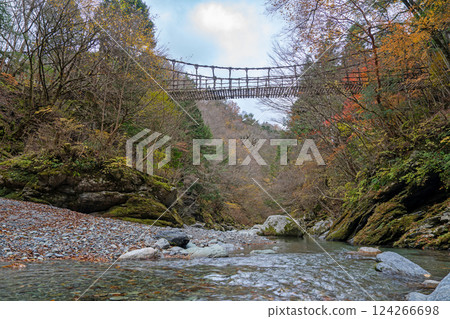 [Tokushima] Autumn in Oku-Iya, Otokobashi Bridge [Autumn leaves] 124266698