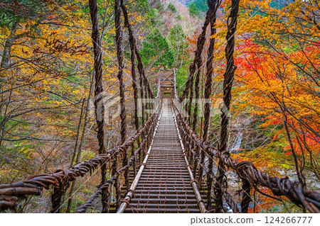 [ 德島 ] 奧祖屋的秋天、男橋 [紅葉] 124266777