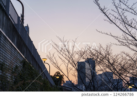 黃昏時分的城市景觀，有路燈和建築物 124266786