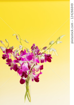 Yellow version of Dendrobium phalaenopsis in a vase Yellow version of Dendrobium phalaenopsis in a vase 124266849