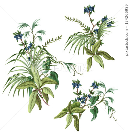 Exotic trees, leaves and flowers isolated. Vector. 124266959