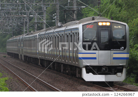 [JO] Yokosuka Line - Sobu Rapid Line E217 Series Train (Narita Line Direct Train) 124266967