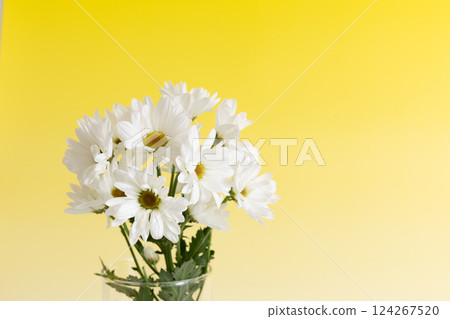 Small chrysanthemums in a vase - Yellow version Small chrysanthemums in a vase - Yellow version 124267520