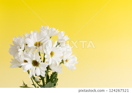 Small chrysanthemums in a vase - Yellow version Small chrysanthemums in a vase - Yellow version 124267521