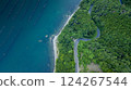 Aerial view of the ocean, coastline forests and roads 124267544