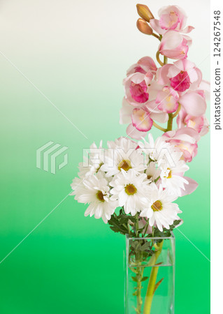花瓶中的小菊花和蘭花 - 綠色版 124267548