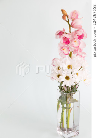 Small chrysanthemums and orchids in a vase - White version 124267558