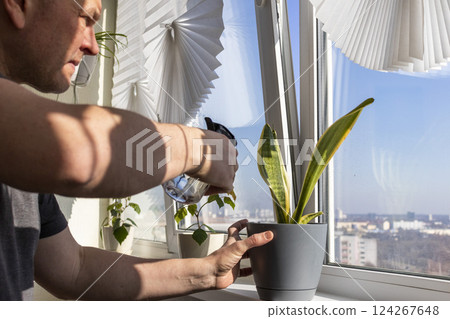 Man spraying indoor plants on the windowsill Man spraying indoor plants on the windowsill 124267648