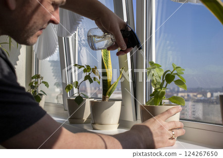 Man spraying indoor plants on the windowsill Man spraying indoor plants on the windowsill 124267650
