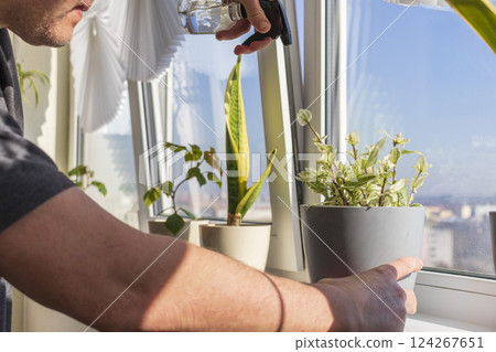 Man spraying indoor plants on the windowsill 124267651