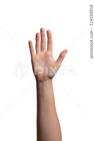 Hand raised with an open palm, symbolizing greeting, stop, or high-five gesture. Fingers extended in Hand raised with an open palm, symbolizing greeting, stop, or high-five gesture. Fingers extended in 124268858
