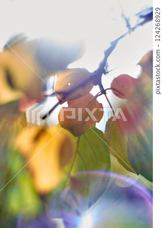 Abstract floral background with leaves on blurred background 124268929
