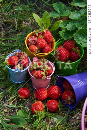 Berry season. Bright colorful buckets with berries of strawberries on the green grass 124268941