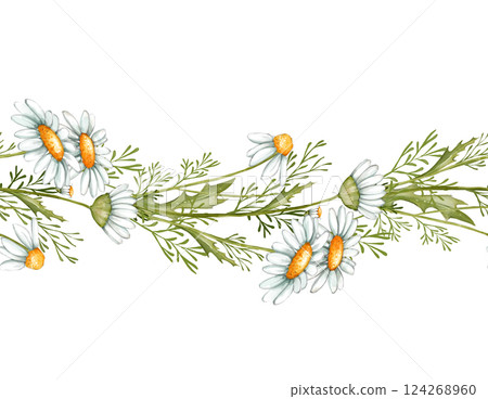 Chamomile seamless border. Hand drawn illustration - frame with daisy flowers. Chamomile seamless border. Hand drawn illustration - frame with daisy flowers. 124268960