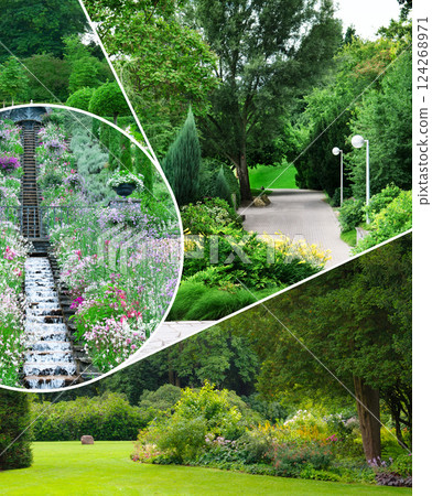 Beautiful garden with coniferous and deciduous trees. Collage. Mosaic pattern. Beautiful garden with coniferous and deciduous trees. Collage. Mosaic pattern. 124268971