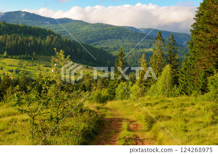 Picturesque mountain landscape with mountain ranges, coniferous forests and blue sky. 124268975