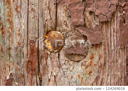Antique wooden background with old rusty nails. Old crackle paint surface Antique wooden background with old rusty nails. Old crackle paint surface 124269016